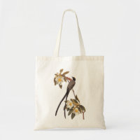 Audubon Fork-Tailed Flycatcher Bird Vintage Art