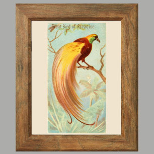 Audubon Gallery Wall Art Set of 6, 4 of 6 Poster