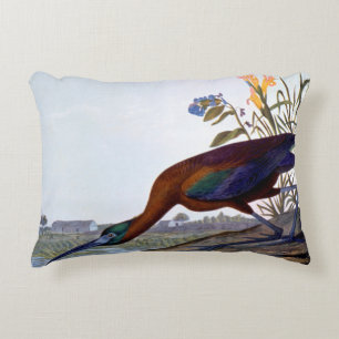 Audubon: Glossy Ibis Accent Pillow