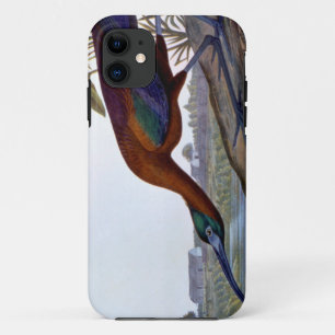 Audubon: Glossy Ibis iPhone 11 Case