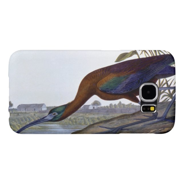 Audubon: Glossy Ibis Case-Mate Samsung Galaxy Case (Back Horizontal)