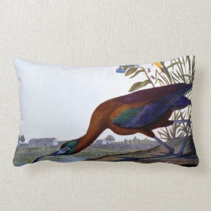 Audubon: Glossy Ibis Lumbar Pillow