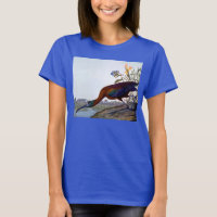 Audubon: Glossy Ibis