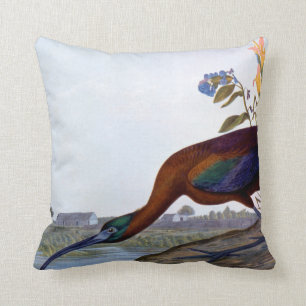 Audubon: Glossy Ibis Throw Pillow