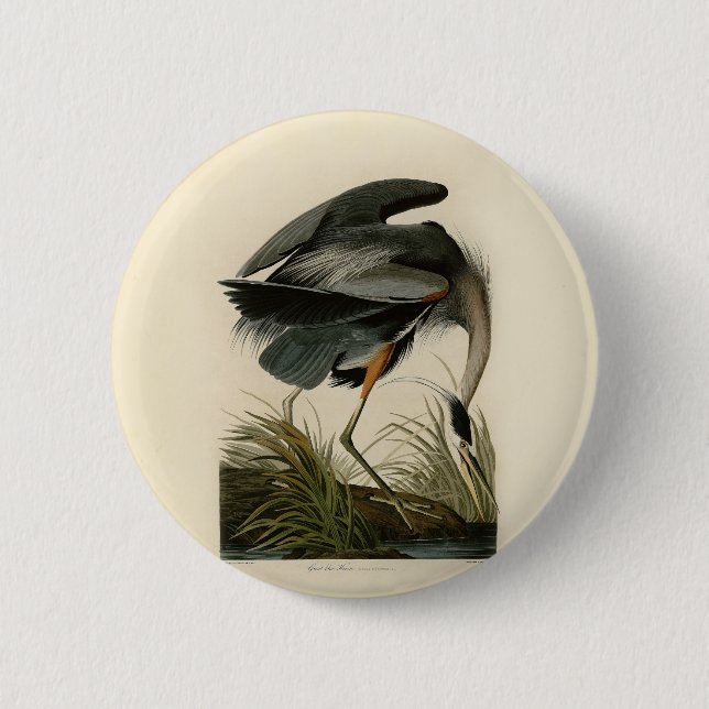 Audubon Great Blue Heron Marsh Bird 2 Inch Round Button (Front)