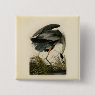 Audubon Great Blue Heron Marsh Bird 2 Inch Square Button