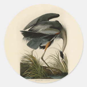 Audubon Great Blue Heron Marsh Bird Classic Round Sticker