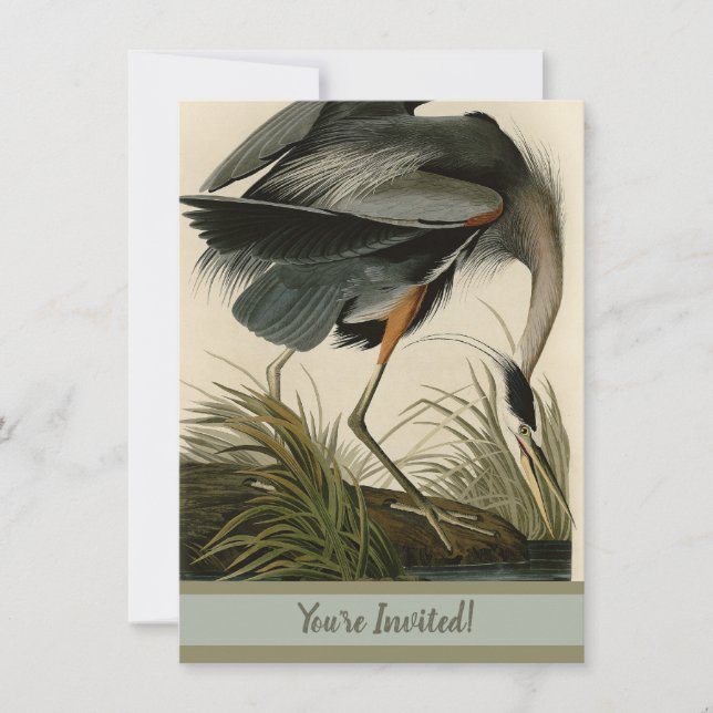 Audubon Great Blue Heron Marsh Bird Invitation (Front)