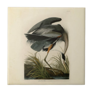 Audubon Great Blue Heron Marsh Bird Tile