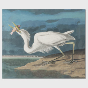 Audubon Great White Heron: Vintage Coastal Bird Wrapping Paper
