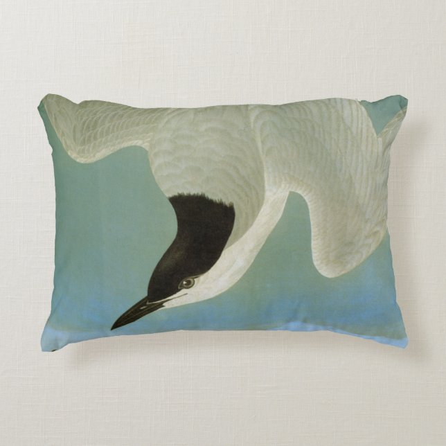 Audubon: Gull-Billed Tern Accent Pillow (Front)
