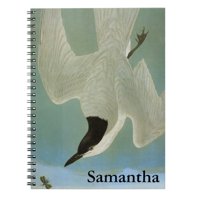 Audubon: Gull-Billed Tern Notebook (Front)