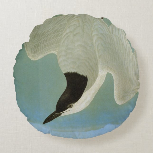 Audubon: Gull-Billed Tern Round Pillow (Front)