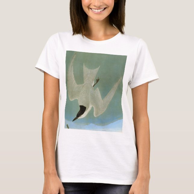 Audubon: Gull-Billed Tern T-Shirt (Front)
