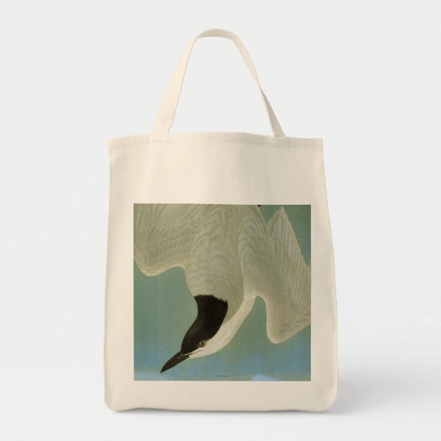 Audubon: Gull-Billed Tern Tote Bag (Front)