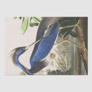 Audubon Heron Bird Wildlife Animal Tissue Paper