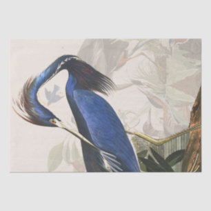Audubon Heron Birds Wildlife Animals Tissue Paper