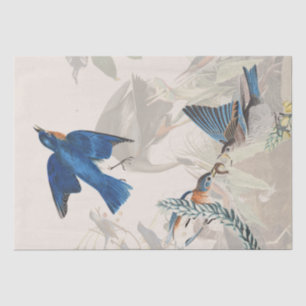 Audubon Heron Bluebird Birds Wildlife Tissue Paper