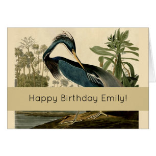 Audubon Héron de Louisiane Oiseaux Amérique Art