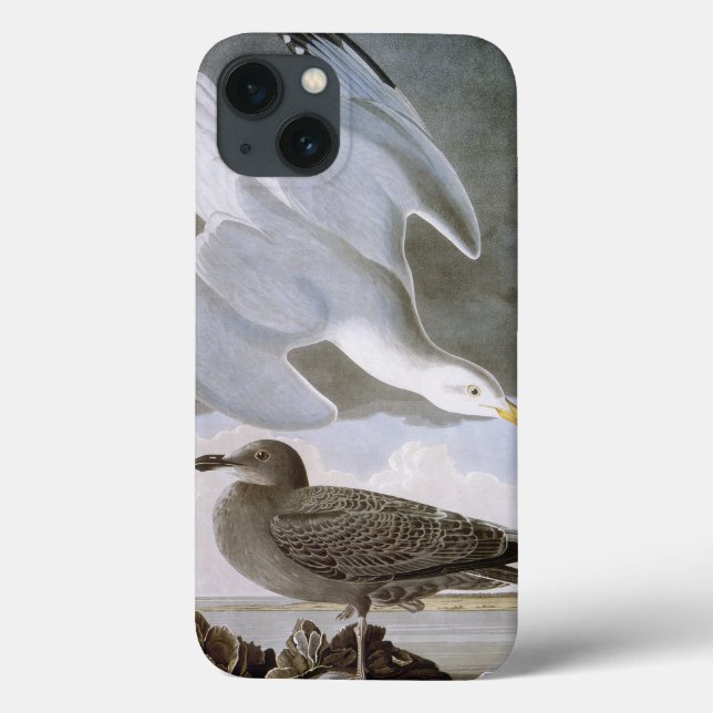 Audubon: Herring Gull Case-Mate iPhone Case (Back)