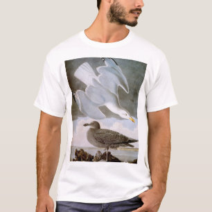 Audubon: Herring Gull T-Shirt
