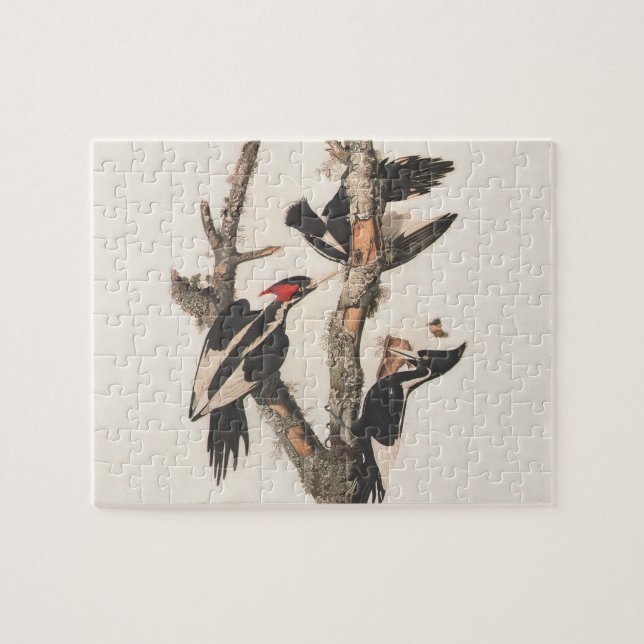 Audubon Ivory-Billed Woodpecker Jigsaw Puzzle (Horizontal)
