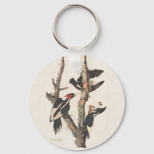Audubon Ivory-Billed Woodpecker Keychain