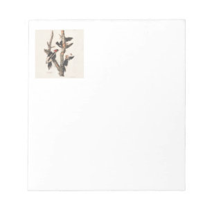 Audubon Ivory-Billed Woodpecker Notepad