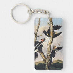 Audubon Ivory-Billed Woodpecker Painting Keychain