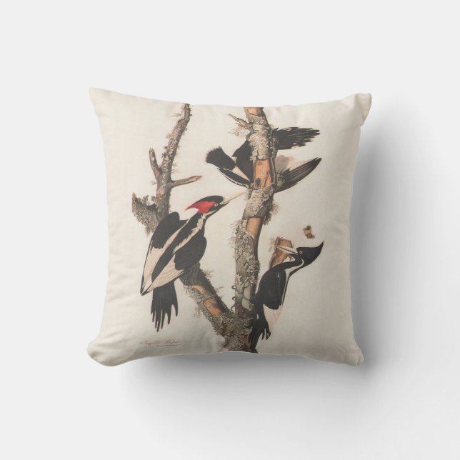 Audubon Ivory-Billed Woodpecker Throw Pillow (Front)