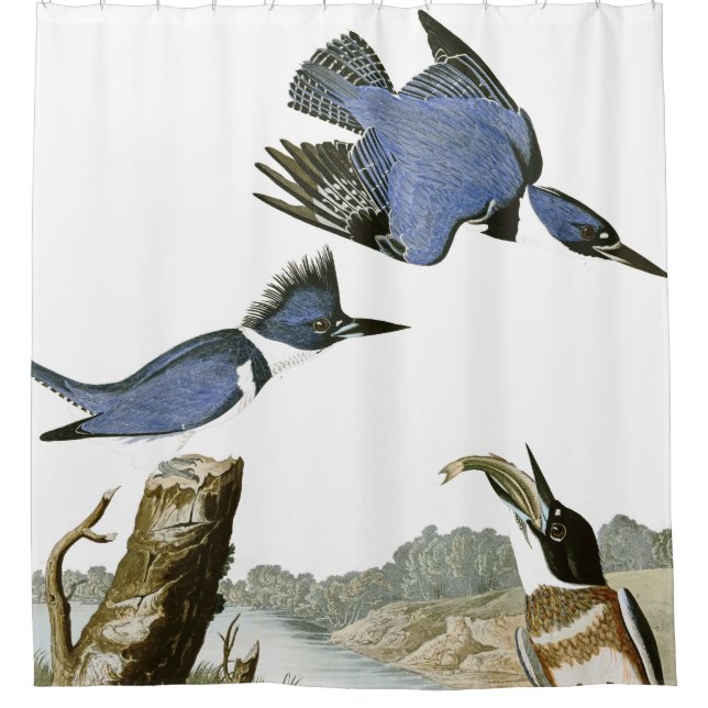 Audubon Kingfisher Birds Wildlife Shower Curtain (Front)