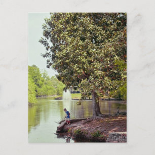Audubon Lagoon Postcard