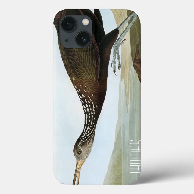 Audubon: Limpkin Case-Mate iPhone Case (Back)