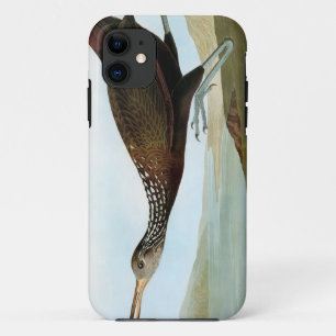 Audubon: Limpkin iPhone 11 Case