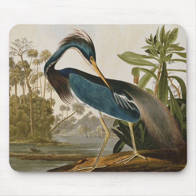 Audubon Little Blue Heron Mouse Pad (Front)