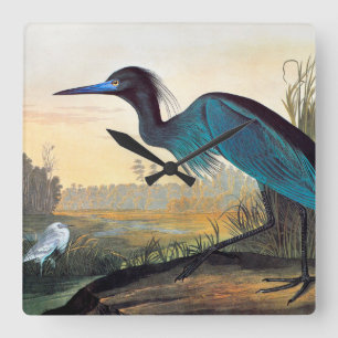 Audubon: Little Blue Heron Square Wall Clock