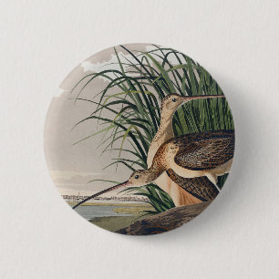 Audubon Long-Billed Curlew Bird 2 Inch Round Button