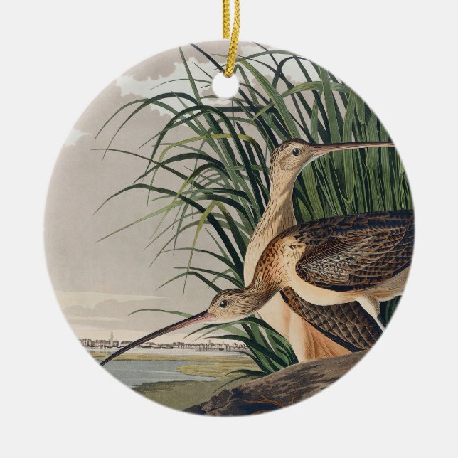 Audubon Long-Billed Curlew Bird Ceramic Ornament (Front)