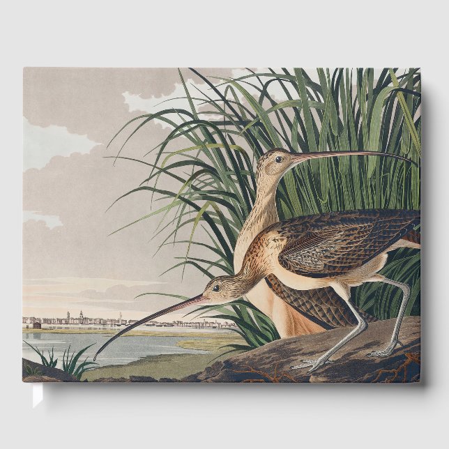 Audubon Long-Billed Curlew Bird Guest Book (Front)