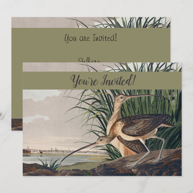 Audubon Long-Billed Curlew Bird Invitation (Front/Back)