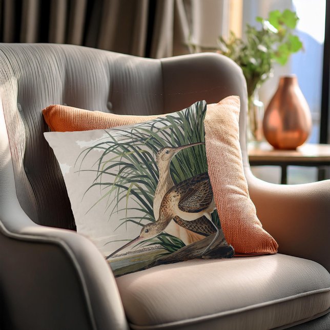 Audubon Long-Billed Curlew Bird Throw Pillow (Creator Uploaded)