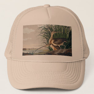 Audubon Long-Billed Curlew Bird Trucker Hat