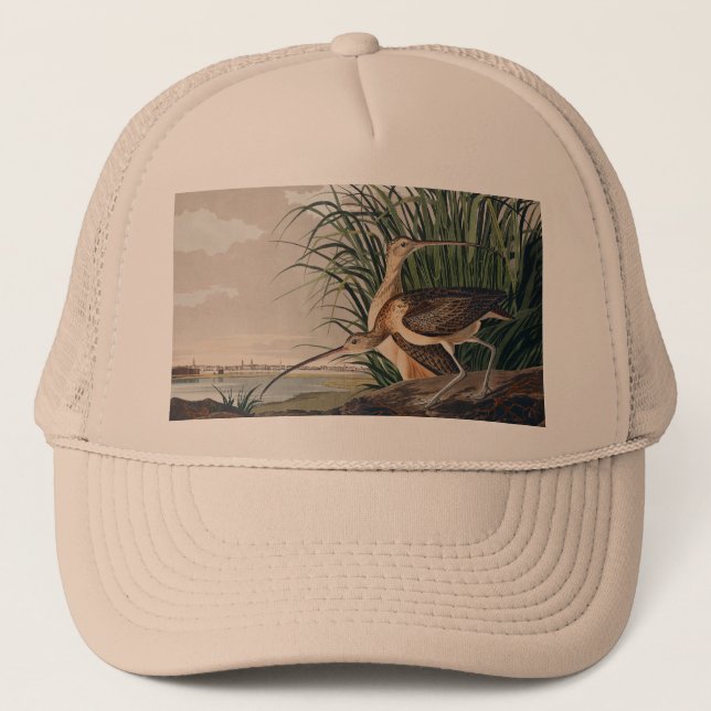 Audubon Long-Billed Curlew Bird Trucker Hat (Front)