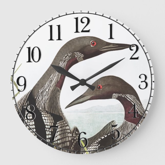 Audubon Loon Diver Oiseaux Animal Mur Horloge (Recto)