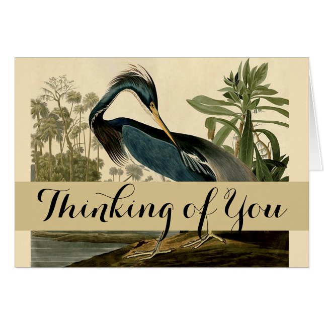 Audubon Louisiana Heron Birds America Art (Devant horizontal)