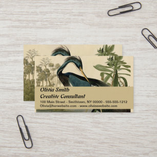 Audubon Louisiana Heron Birds America Art Business Card