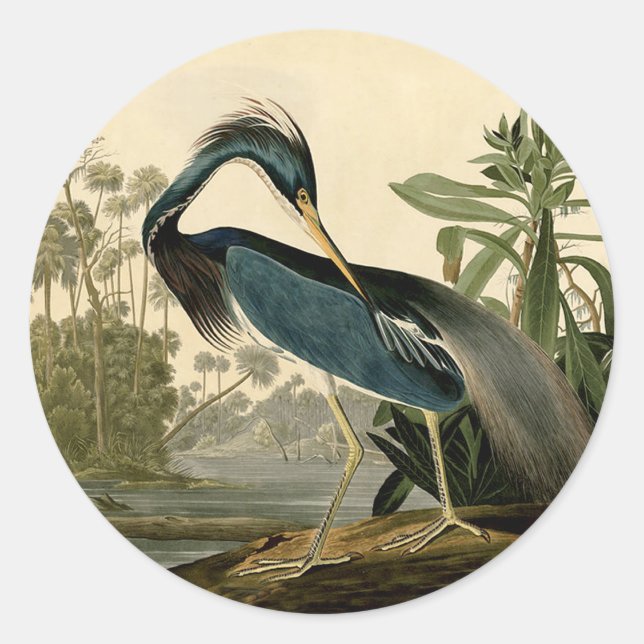 Audubon Louisiana Heron Birds America Art Classic Round Sticker (Front)