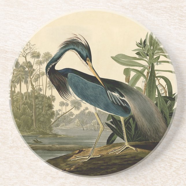 Audubon Louisiana Heron Birds America Art Coaster (Front)