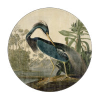 Audubon Louisiana Heron Birds America Art