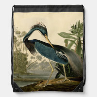 Audubon Louisiana Heron Birds America Art